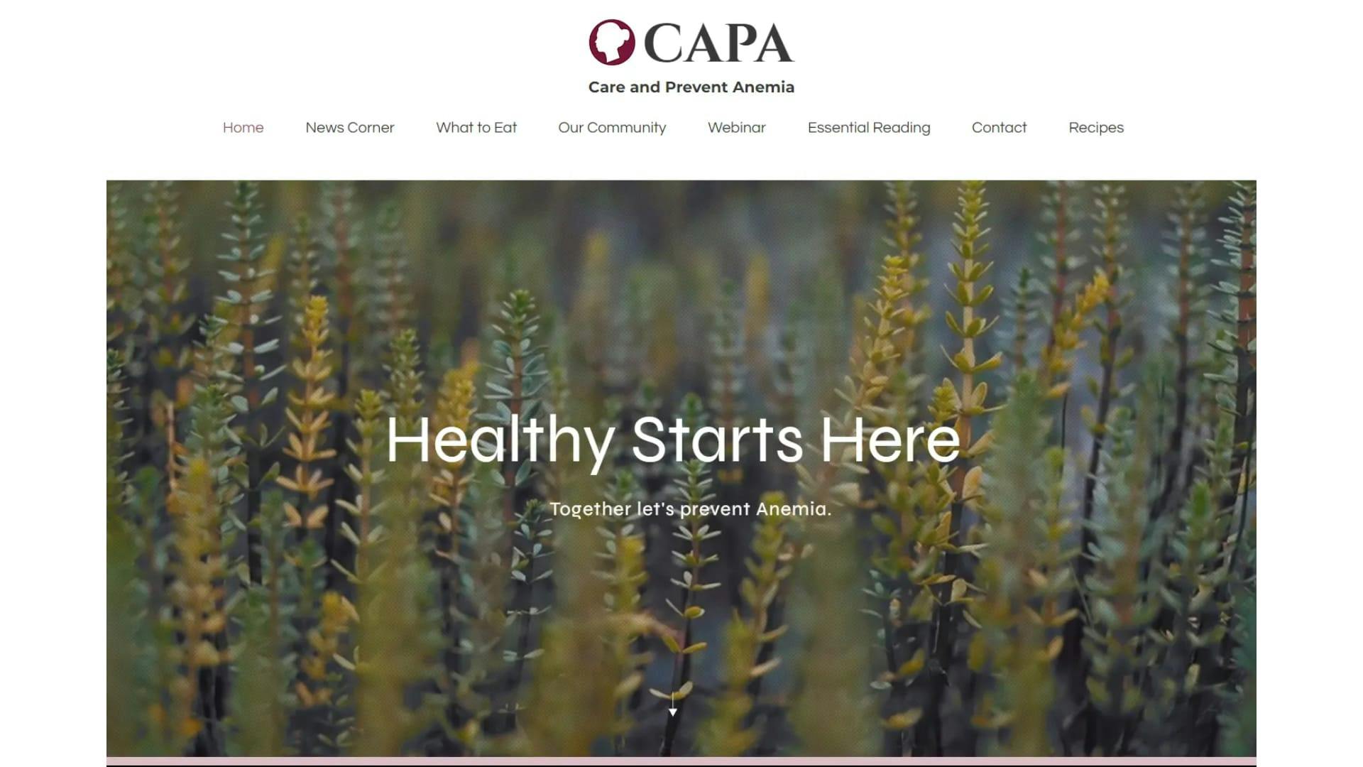CAPA Website | Sarthak S Kumar